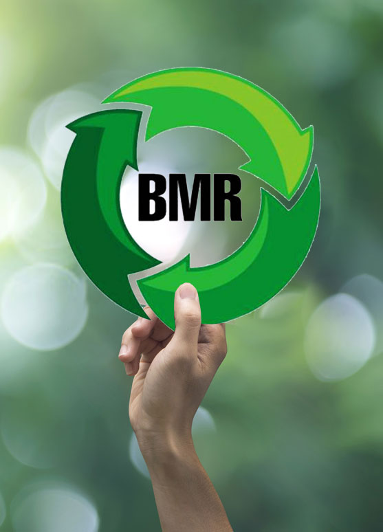 BMR